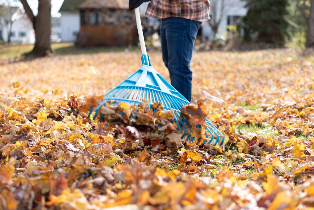 Fall-Maintenance-Tips