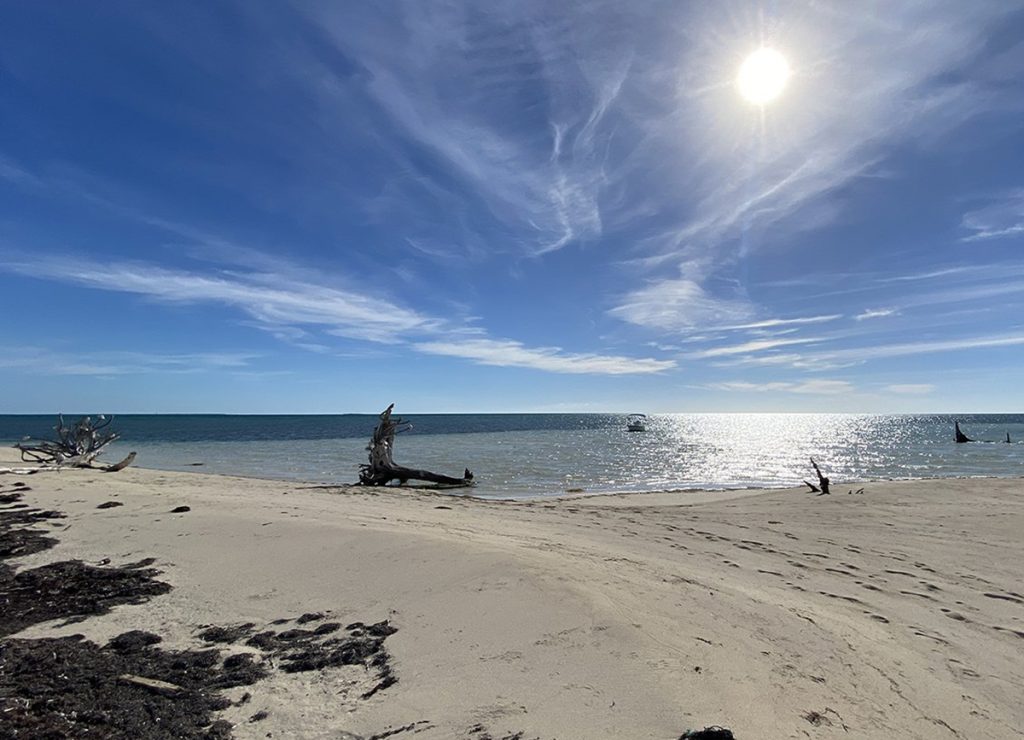 grand bahama bahamas feature