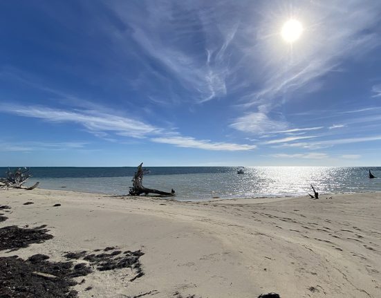grand bahama bahamas feature