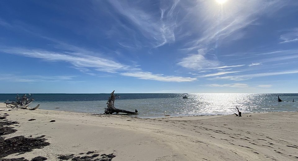 grand bahama bahamas feature