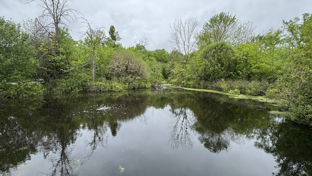 Heartland Fores nature pond niagara falls ontario canada